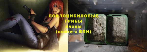 дмт Алексеевка