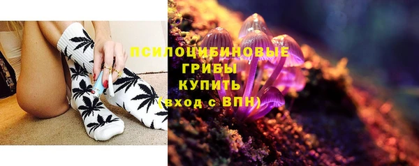 тгк Аркадак